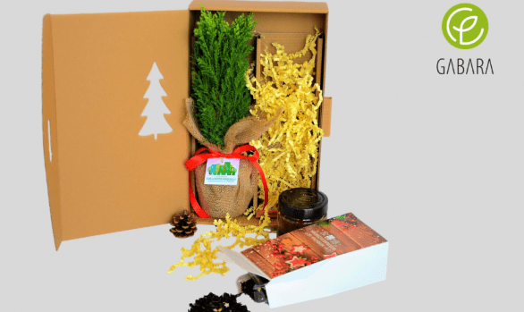 1Christmas set with tea and honey