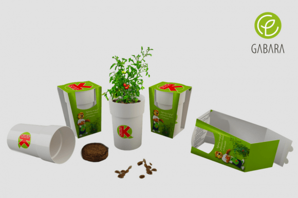 Tomato growing set