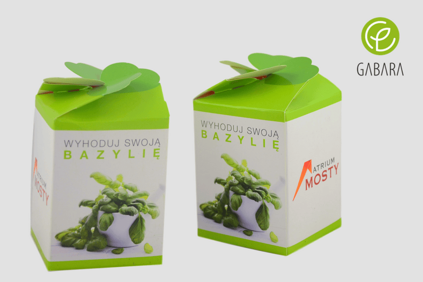 zestaw do uprawy ziół bazylia 4