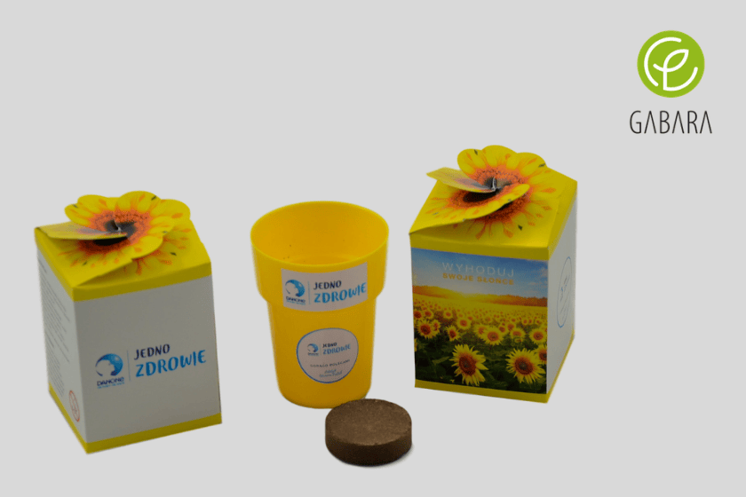 Projekt bez tytułu – 2019-05-02T184429.201