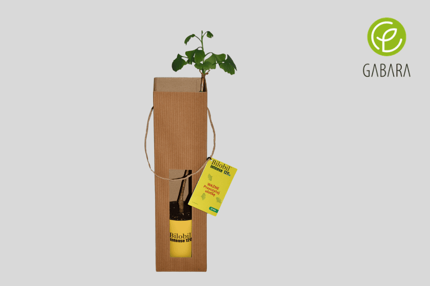 Projekt bez tytułu – 2019-05-02T185029.651