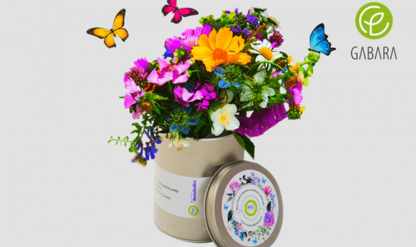 Promotional set attracting butterflies