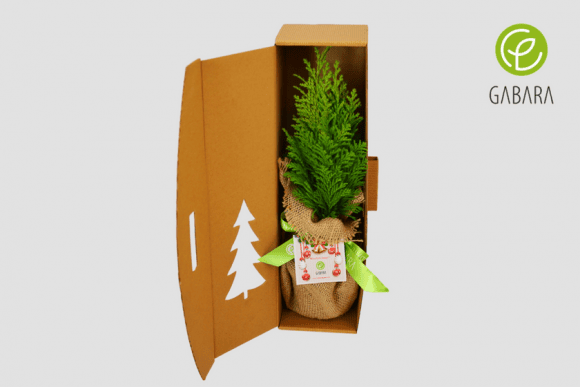 Christmas tree in cardboard box