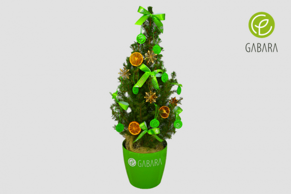 Promotional Christmas tree in a pot