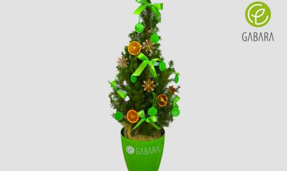 Promotional Christmas tree in a pot