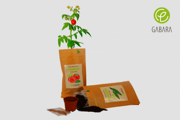 Tomato growing set