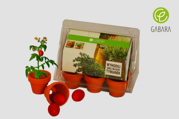 Mini promotional greenhouse