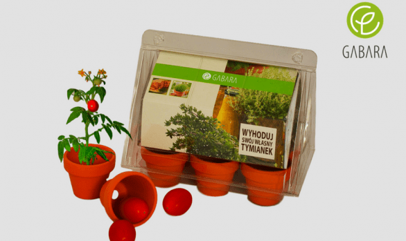 Mini promotional greenhouse