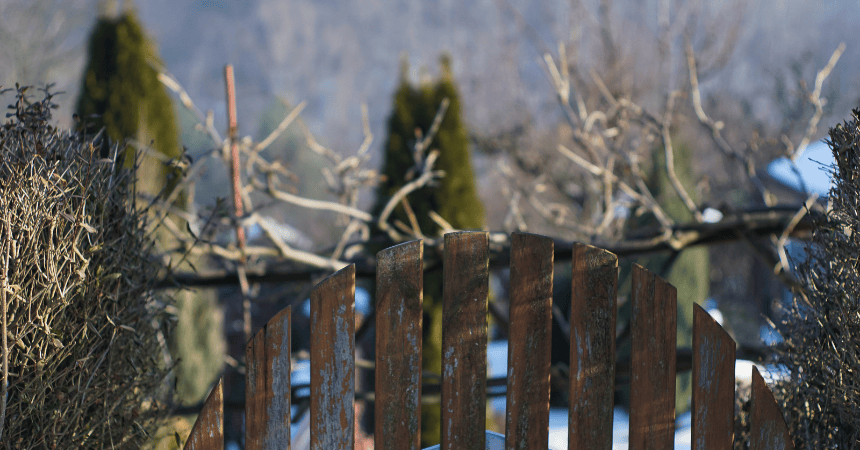 Projekt bez tytułu (2)