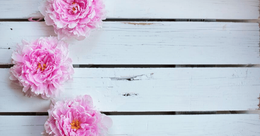 peonie