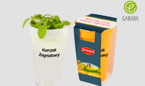 Doniczka z nasionami ziół